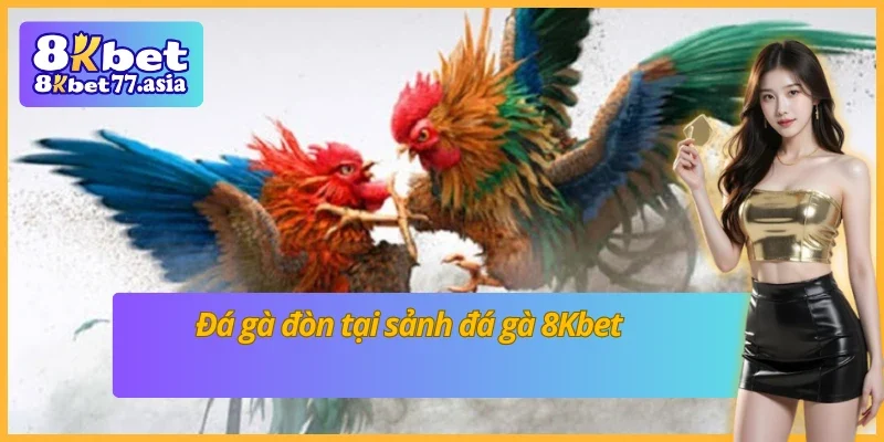 Đá gà đòn tại sảnh đá gà 8Kbet 